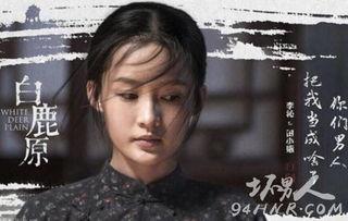 白鹿原李沁在线观看,探寻命运交织的传奇人生